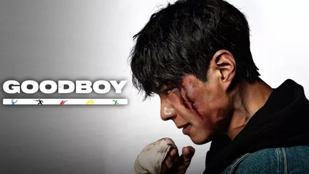 Good Boy (2025) S01 Dual Audio [Hindi-Korean] AMZN WEB-DL H264 AAC 1080p 720p ESub [EP 05-06 Added]